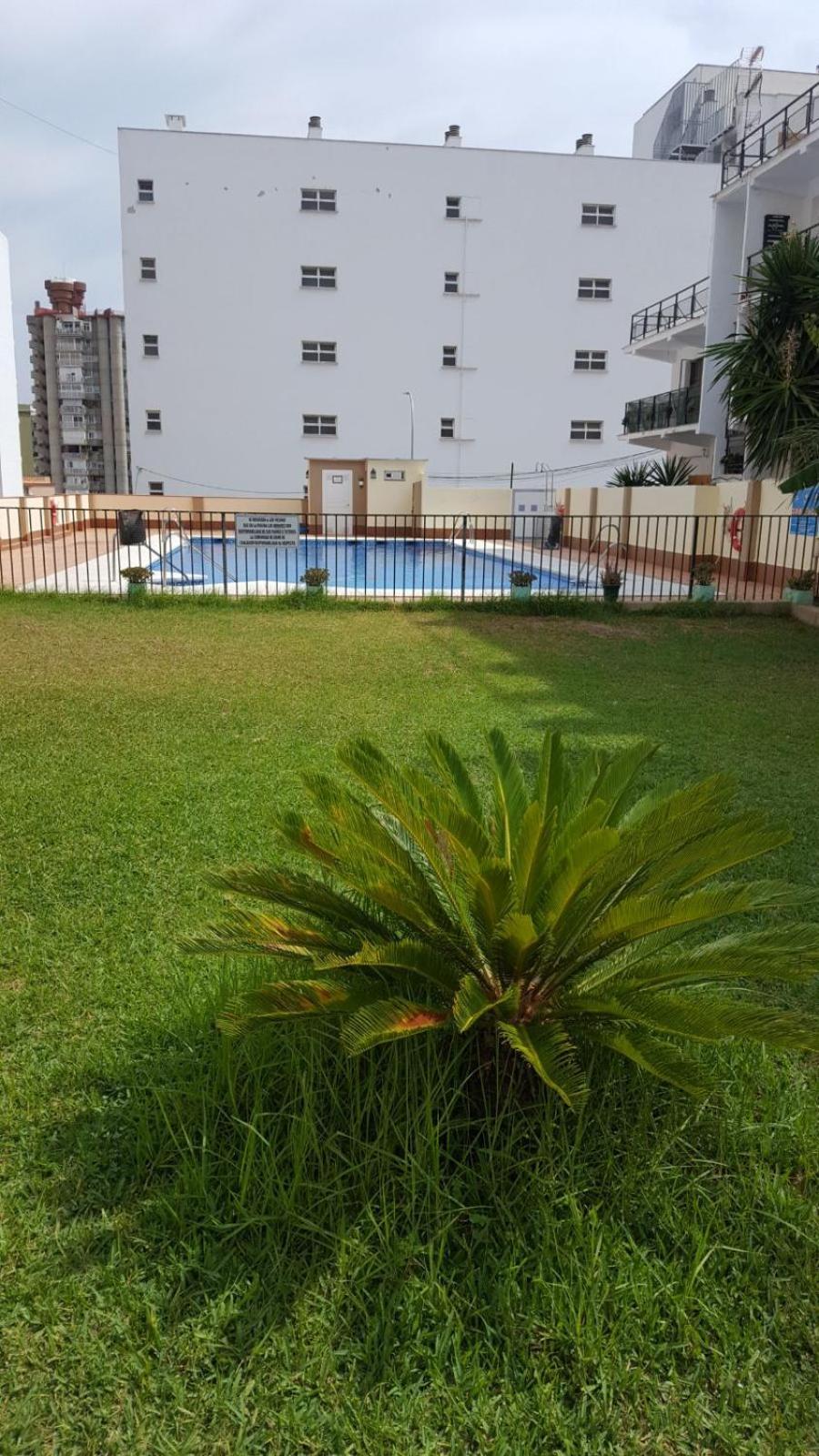 Estudiosol40 Torremolinos Exterior foto